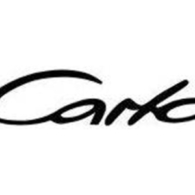 CARLO logo