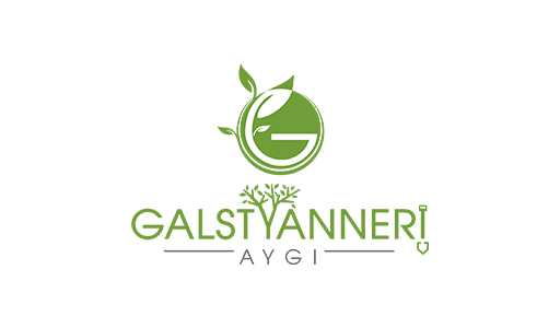 GALSTYANNERI AYGI logo
