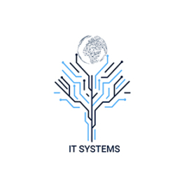 IT systems