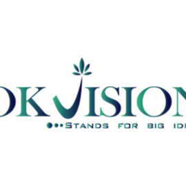 OKVISION GROUP logo