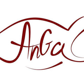 AnGa Handmade bags logo