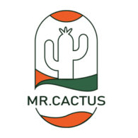 mr cactus