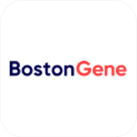 BOSTON GENE