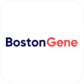 BOSTON GENE