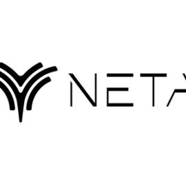 Neta Armenia logo