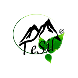 TeSil logo