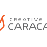 CREATIVE CARACAL 312x500