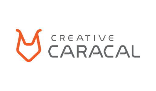 CREATIVE CARACAL 312x500