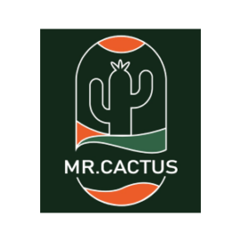 Mr Cactus