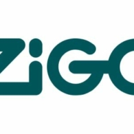 Zigo.logo