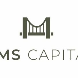 MMS CAPITAL LLC