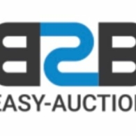 easy-auction.org