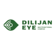 Dilijan eye logo