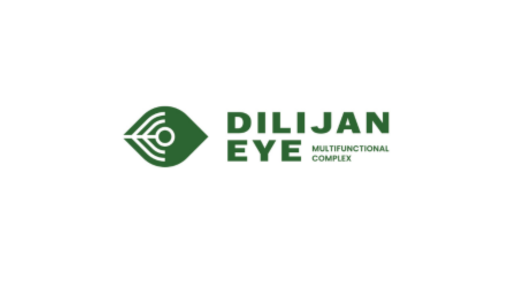 Dilijan eye logo